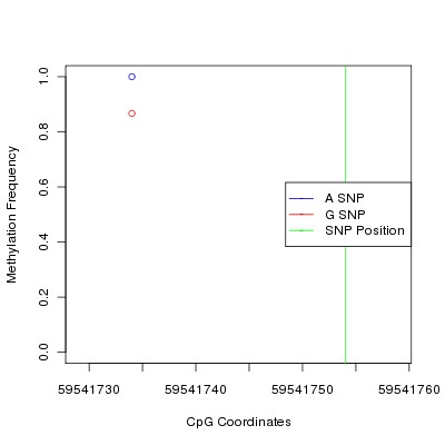 Allele Specific Methylation Frequency Diagram for chr19 59541754 SNP.