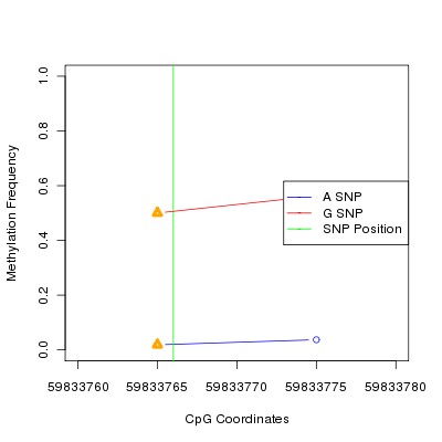 Allele Specific Methylation Frequency Diagram for chr19 59833766 SNP.