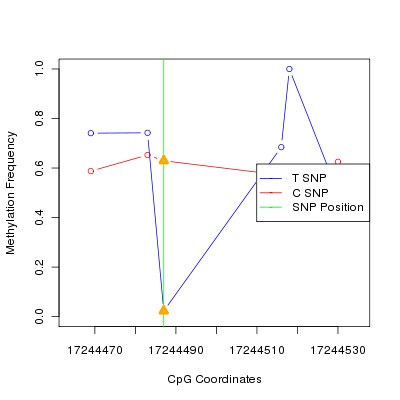 Allele Specific Methylation Frequency Diagram for chr20 17244487 SNP.