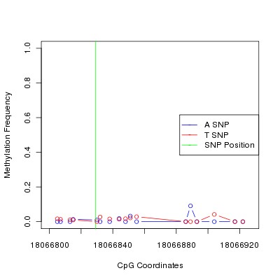 Allele Specific Methylation Frequency Diagram for chr20 18066829 SNP.