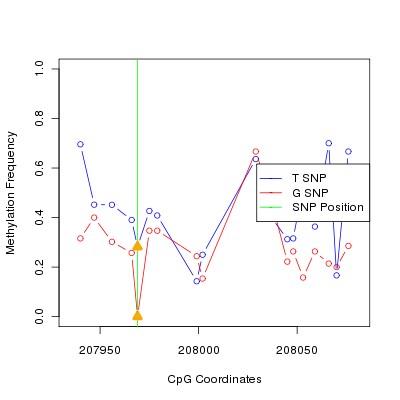 Allele Specific Methylation Frequency Diagram for chr20 207969 SNP.