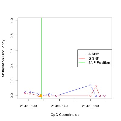 Allele Specific Methylation Frequency Diagram for chr20 21450317 SNP.