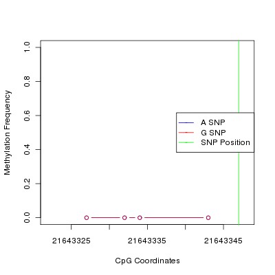 Allele Specific Methylation Frequency Diagram for chr20 21643347 SNP.