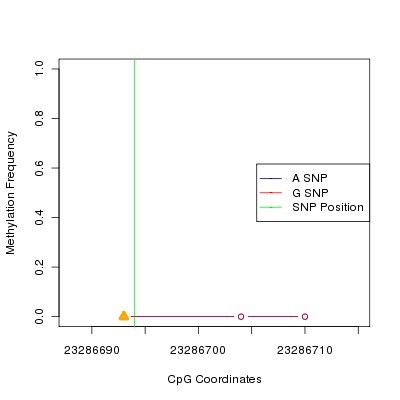 Allele Specific Methylation Frequency Diagram for chr20 23286694 SNP.