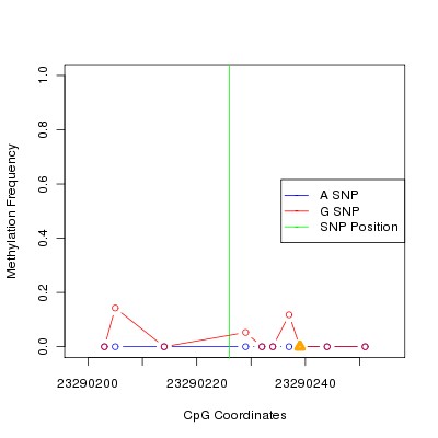 Allele Specific Methylation Frequency Diagram for chr20 23290226 SNP.