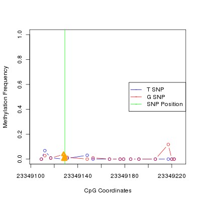 Allele Specific Methylation Frequency Diagram for chr20 23349129 SNP.