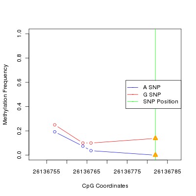 Allele Specific Methylation Frequency Diagram for chr20 26136782 SNP.