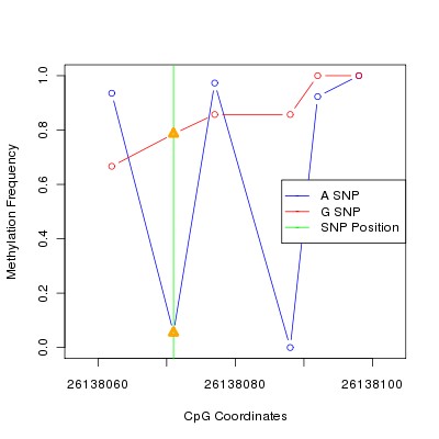 Allele Specific Methylation Frequency Diagram for chr20 26138071 SNP.