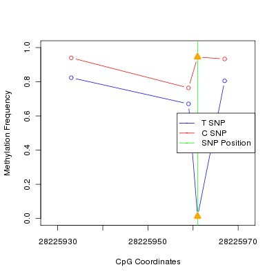 Allele Specific Methylation Frequency Diagram for chr20 28225961 SNP.