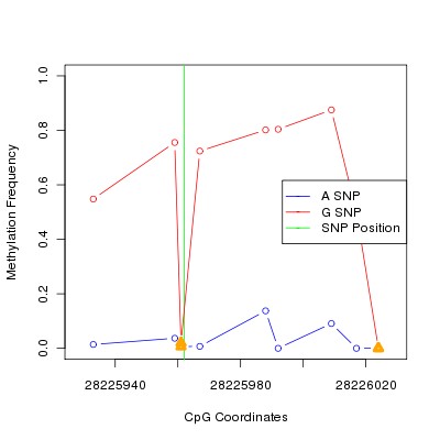 Allele Specific Methylation Frequency Diagram for chr20 28225962 SNP.