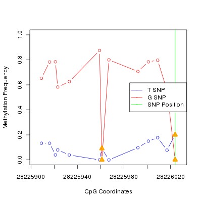 Allele Specific Methylation Frequency Diagram for chr20 28226024 SNP.