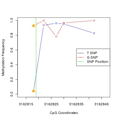 Allele Specific Methylation Frequency Diagram for chr20 3162819 SNP.