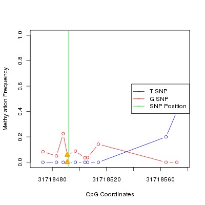 Allele Specific Methylation Frequency Diagram for chr20 31718492 SNP.