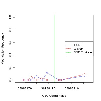 Allele Specific Methylation Frequency Diagram for chr20 36988195 SNP.