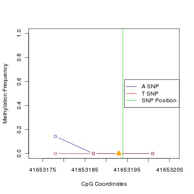 Allele Specific Methylation Frequency Diagram for chr20 41653194 SNP.