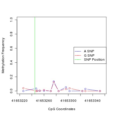 Allele Specific Methylation Frequency Diagram for chr20 41653245 SNP.