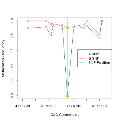 Allele Specific Methylation Frequency Diagram for chr20 4176735 SNP.