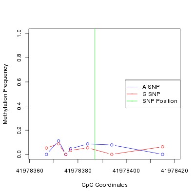 Allele Specific Methylation Frequency Diagram for chr20 41978387 SNP.