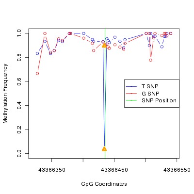 Allele Specific Methylation Frequency Diagram for chr20 43366435 SNP.