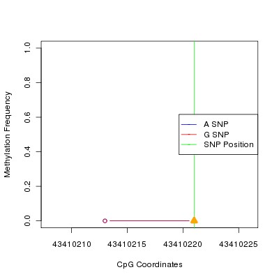 Allele Specific Methylation Frequency Diagram for chr20 43410221 SNP.