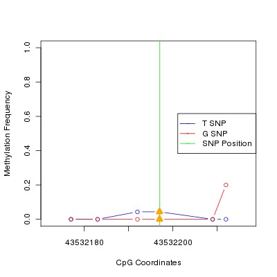 Allele Specific Methylation Frequency Diagram for chr20 43532197 SNP.
