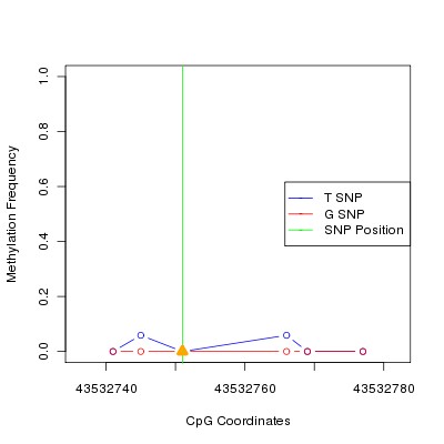 Allele Specific Methylation Frequency Diagram for chr20 43532751 SNP.