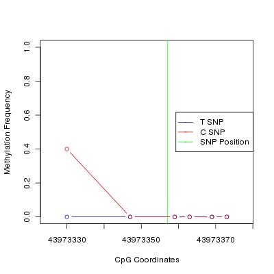 Allele Specific Methylation Frequency Diagram for chr20 43973357 SNP.