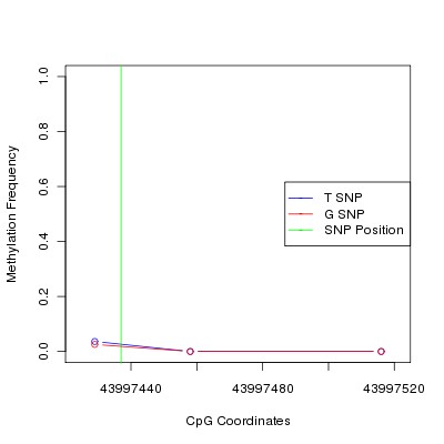 Allele Specific Methylation Frequency Diagram for chr20 43997437 SNP.