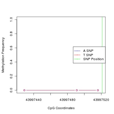 Allele Specific Methylation Frequency Diagram for chr20 43997521 SNP.
