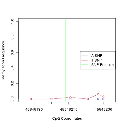 Allele Specific Methylation Frequency Diagram for chr20 45848208 SNP.