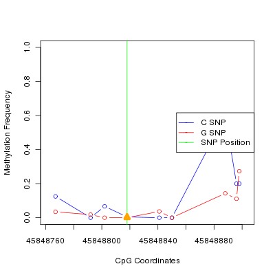 Allele Specific Methylation Frequency Diagram for chr20 45848818 SNP.