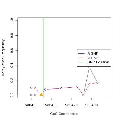 Allele Specific Methylation Frequency Diagram for chr20 538456 SNP.