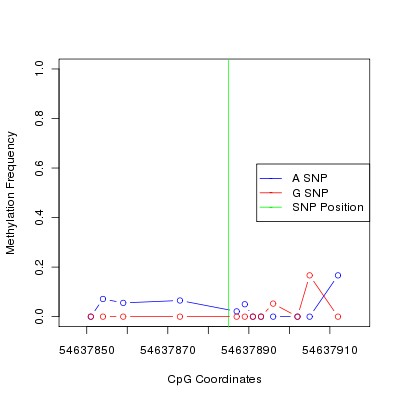 Allele Specific Methylation Frequency Diagram for chr20 54637885 SNP.