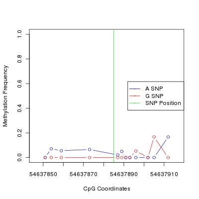 Allele Specific Methylation Frequency Diagram for chr20 54637885 SNP.