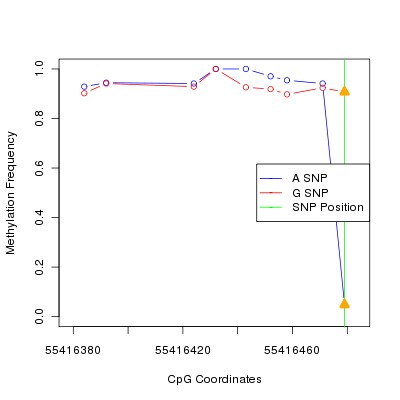 Allele Specific Methylation Frequency Diagram for chr20 55416479 SNP.