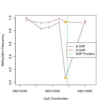 Allele Specific Methylation Frequency Diagram for chr20 56214069 SNP.