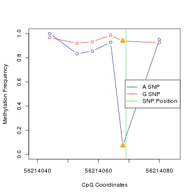 Allele Specific Methylation Frequency Diagram for chr20 56214069 SNP.