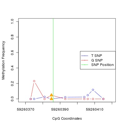 Allele Specific Methylation Frequency Diagram for chr20 59260386 SNP.