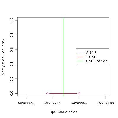 Allele Specific Methylation Frequency Diagram for chr20 59262252 SNP.