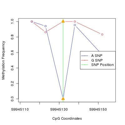 Allele Specific Methylation Frequency Diagram for chr20 59945132 SNP.
