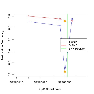 Allele Specific Methylation Frequency Diagram for chr20 59988031 SNP.