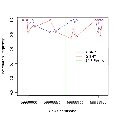 Allele Specific Methylation Frequency Diagram for chr20 59988880 SNP.