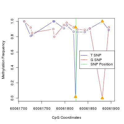 Allele Specific Methylation Frequency Diagram for chr20 60061824 SNP.