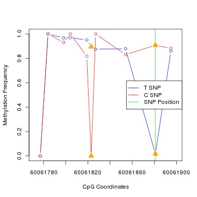 Allele Specific Methylation Frequency Diagram for chr20 60061881 SNP.