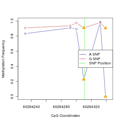 Allele Specific Methylation Frequency Diagram for chr20 60294311 SNP.