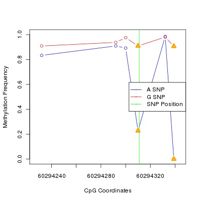 Allele Specific Methylation Frequency Diagram for chr20 60294311 SNP.