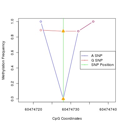 Allele Specific Methylation Frequency Diagram for chr20 60474728 SNP.