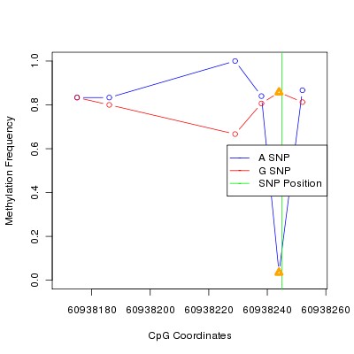 Allele Specific Methylation Frequency Diagram for chr20 60938245 SNP.