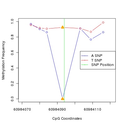 Allele Specific Methylation Frequency Diagram for chr20 60984094 SNP.