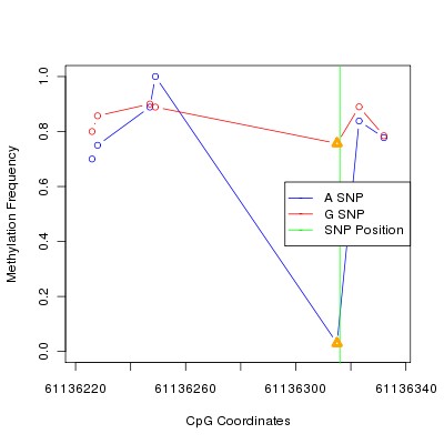 Allele Specific Methylation Frequency Diagram for chr20 61136316 SNP.